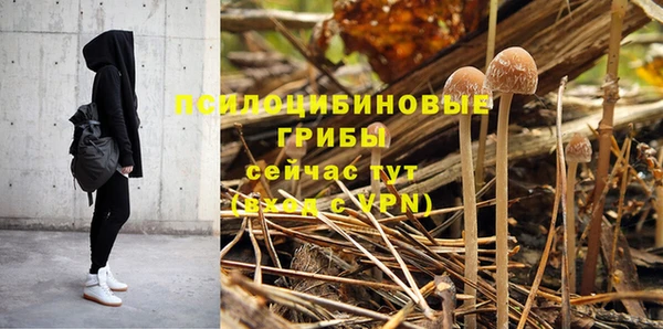 каннабис Алзамай