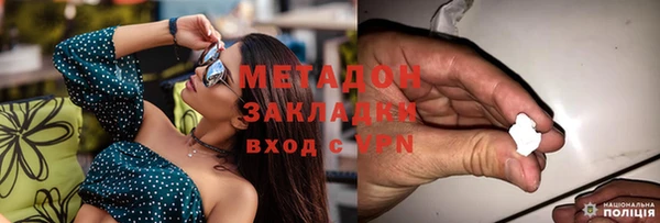 прущие грибы Алексеевка