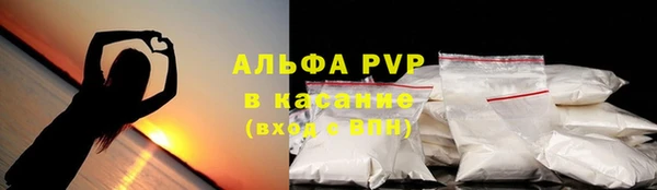 прущие грибы Алексеевка