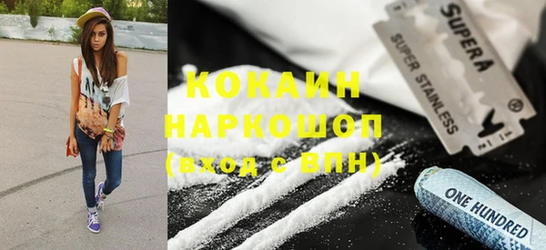 винт Алексин