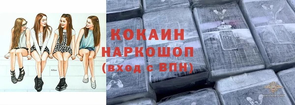 винт Алексин