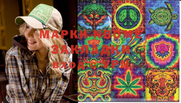прущие грибы Алексеевка