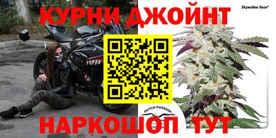 тгк Долгопрудный