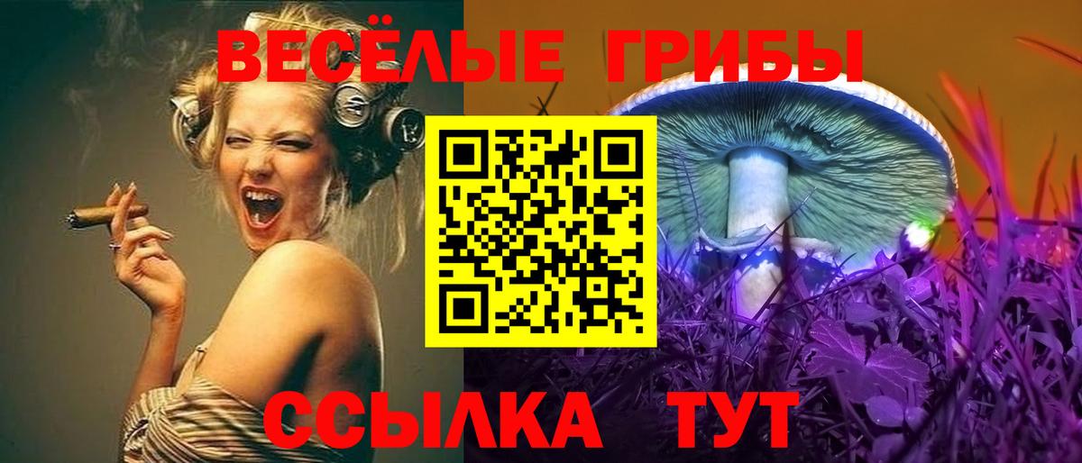Киреевск  как найти закладки  Псилоцибиновые грибы Cubensis  Вход с VPN  Галлюциногенные грибы Psilocybine cubensis 